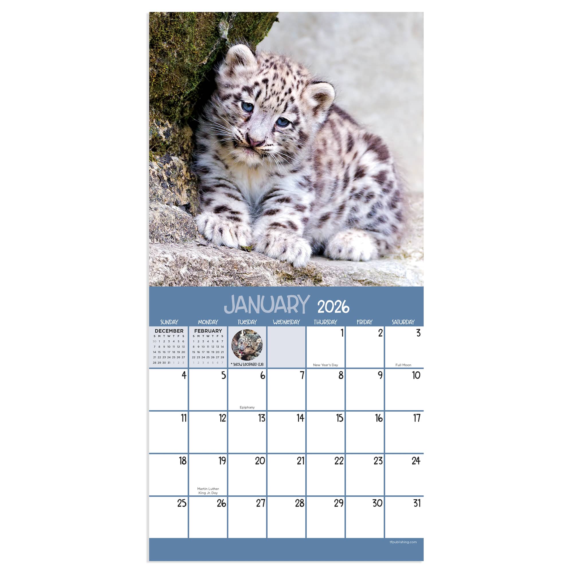 2026 Baby Animals Mini Calendar